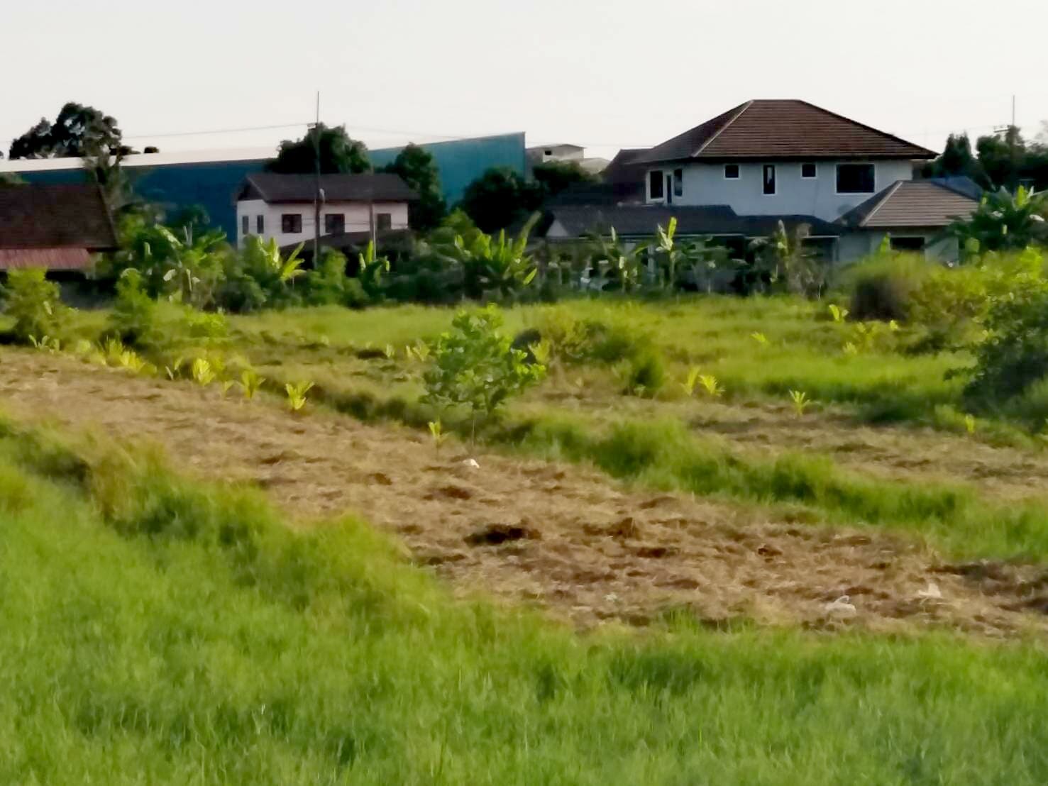 ขายที่ดินติดถนนสุขุมวิทอำเภอแกลงจังหวัดระยอง ติดสภ.แกลงใกล้โรงพยาบาล350เมตร โลตัส 1.5กม. เหมาะทำธุระกิจ บ้านจัดสรร ปั้มนํ้ามัน อื่นๆ10 ไร่ 97.5 ตรว.