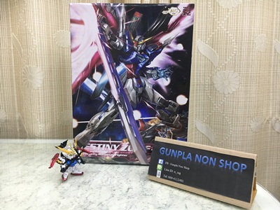 MG 1/100 Destiny [Momoko]