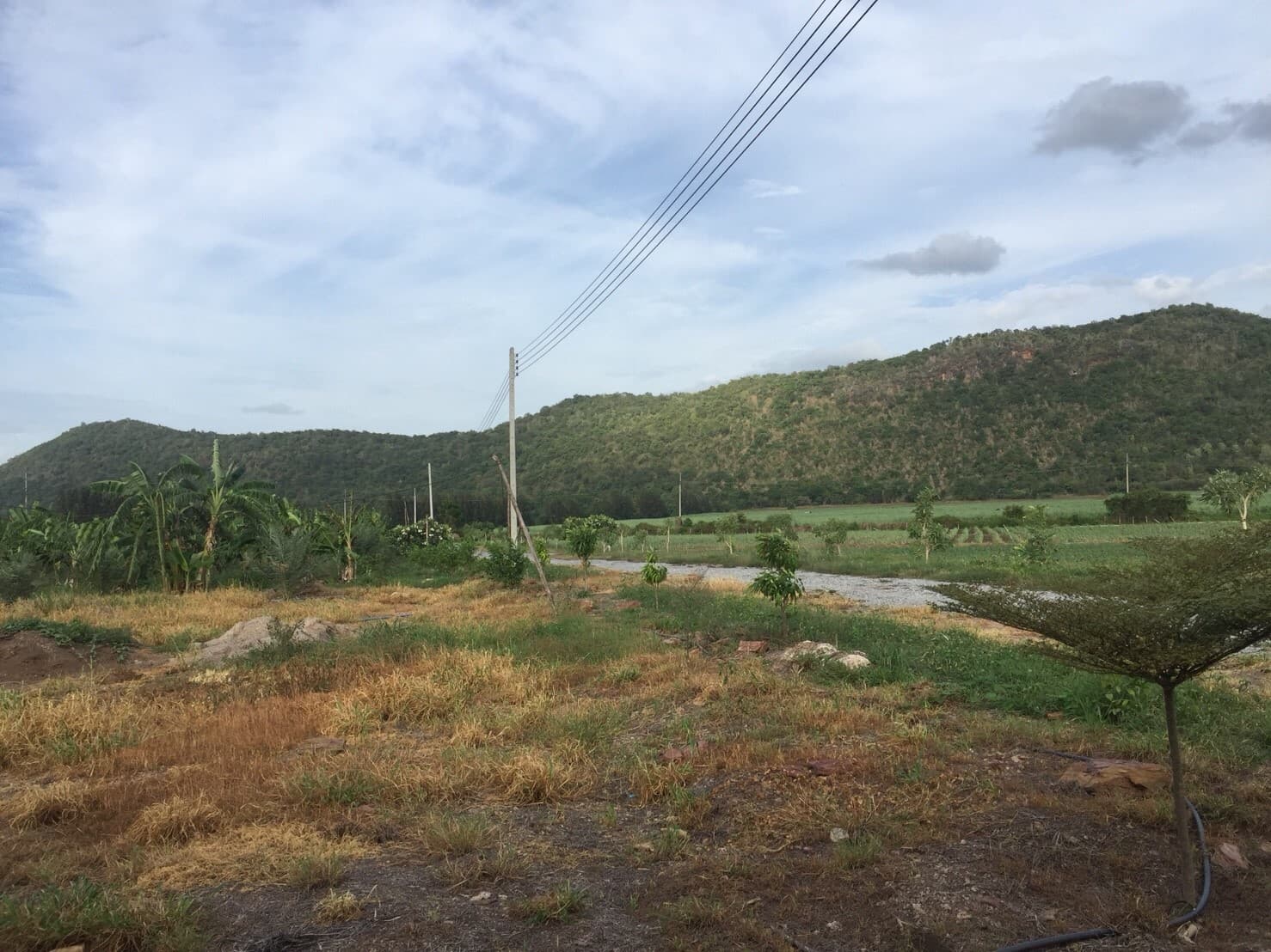 ขายที่ดินจัดสรรค์สวยราคาถูกติดถนน 3 ด้านห่างทุ่งดินดำรีสอร์ท 548 เมตร ใกล้อบต. เลาขวัญ 2.8 กม. รพ.เลาขวัญ4.8กม.อ.อู่ทอง จ.สุพรรณบุรี