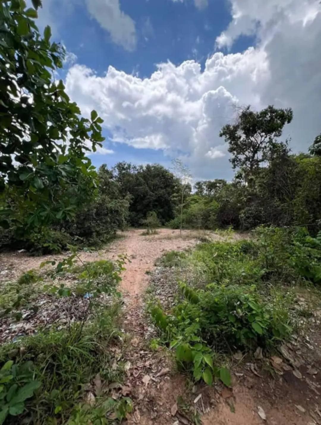 ขายที่ดินอำเภอม่วงสามสิบ 29 ไร่ 1 งาน 44.7 ตรว. ใกล้อบต.ยางสักกระโพหลุ่ม 2.7 กม.ที่ดินสวยบรรยากาศดีเดินทางสะดวก