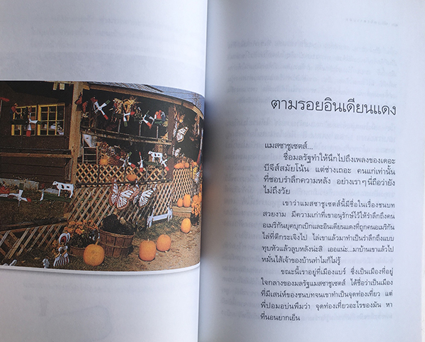 ตามทางคาวบอย