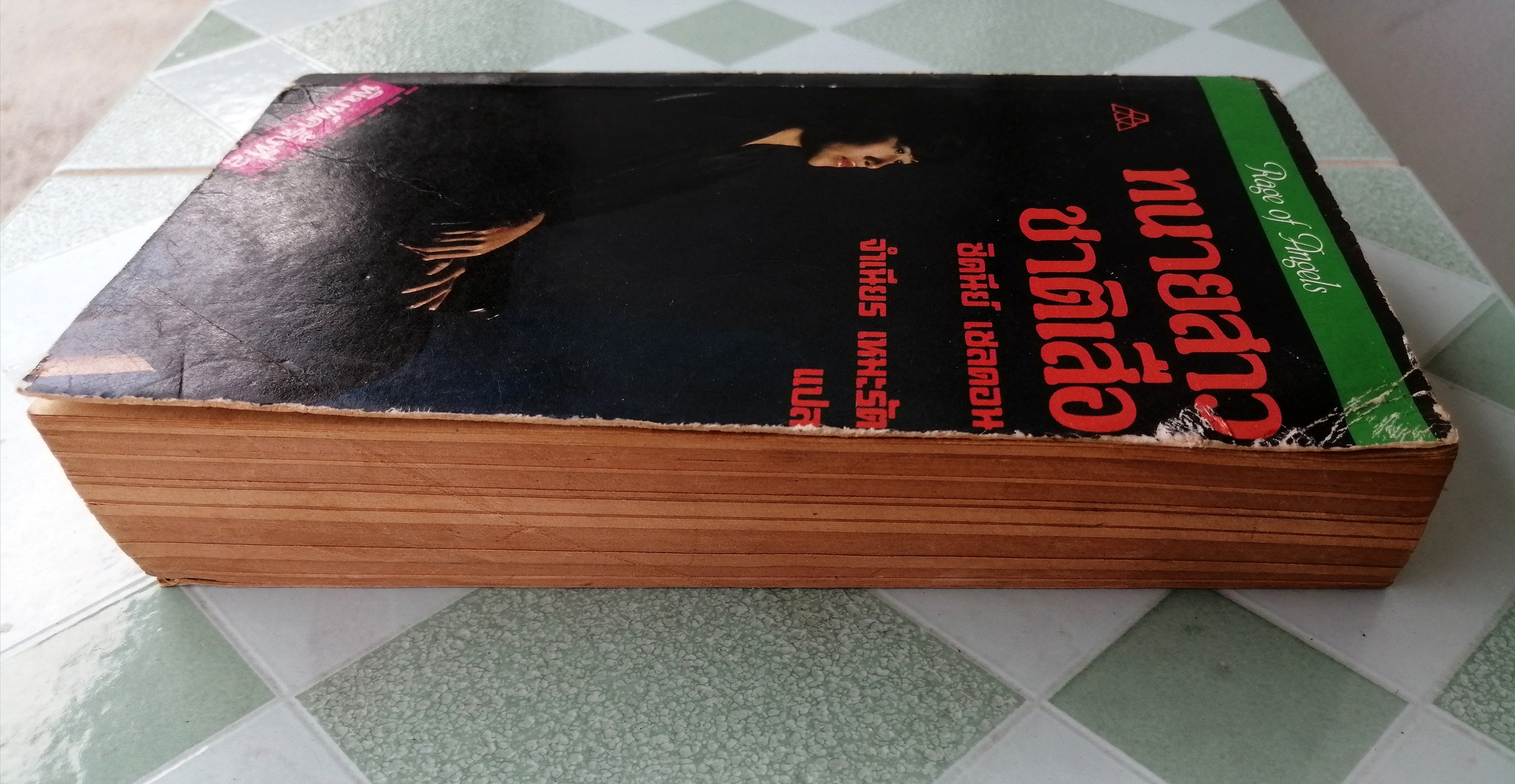 ทนายสาวชาติเสือ (Rage of Angels)