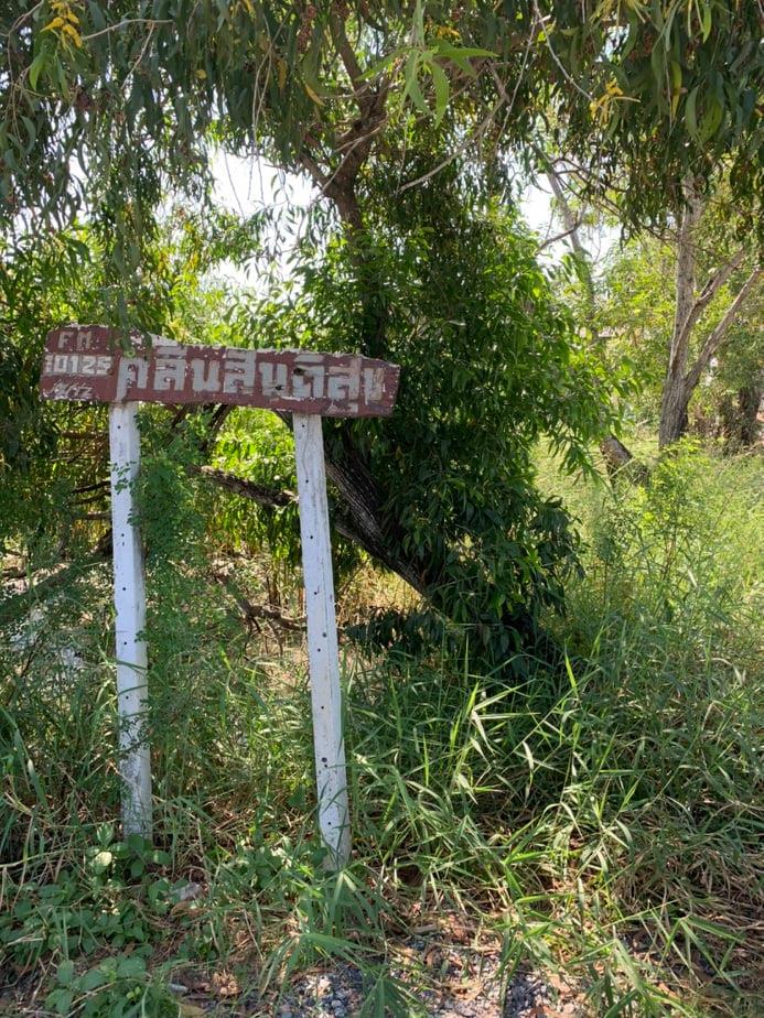 ด่วนขายที่ดินสวยราคาถูกที่สุด53ตรว.ซ.สังฆสันติสุข40 เจียรดับ หนองจอก กทม.ห่างจากหมู่บ้านทองธารา300เมตร