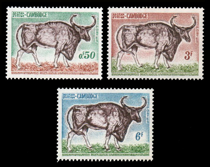 1964 Wild Animal Protection