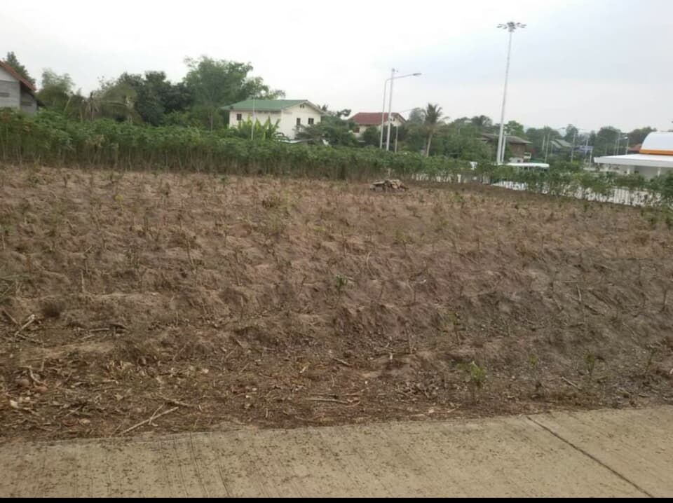 ที่ดินราคาถูกติดถนนใหญ่กบินทร์บุรี-ปักธงชัย หมายเลข(304)ติดสถานีตรวจสอบนํ้าหนักวังนํ้าเขียวขาเข้า2ไร่73ตรว.เหมาะทำธุรกิจเดินทางสะดวกจ.นครราชสีมา