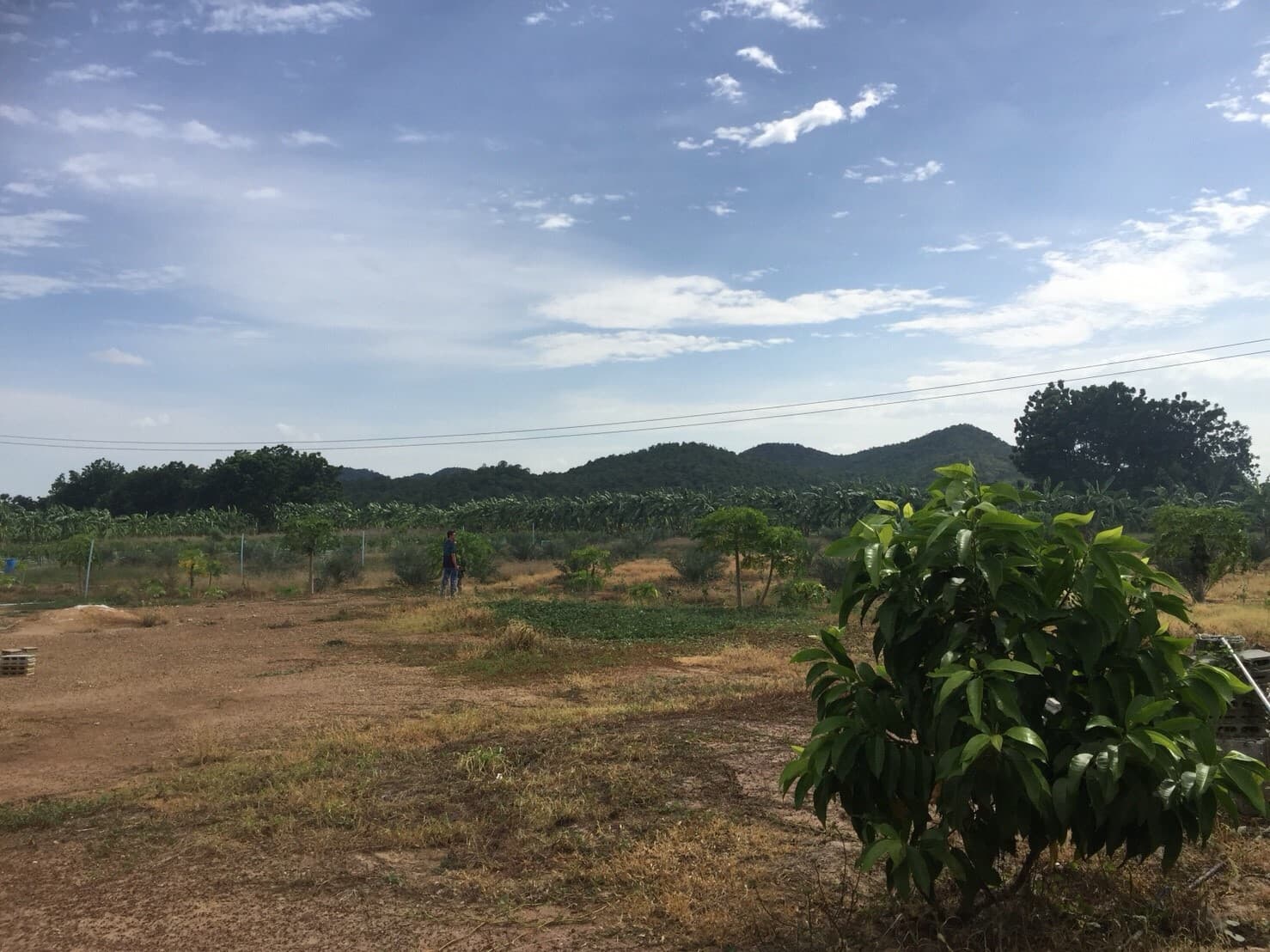 ขายบ้านพร้อมที่ดินราคาถูกติดถนนใหญ่หมายเลข (3468) ห่างจาก อบต.บ้านโข้ง 876 เมตร