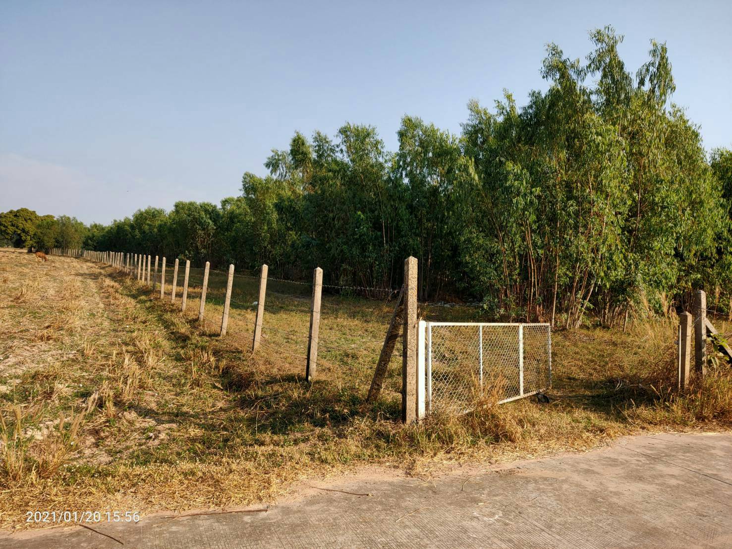 ขายที่ดินใกล้โรบินสันร้อยเอ็ด 7 ไร่ 86.4 ตรว.ติดถนนคอนกรีตบรรยากาศดีการเดินทางสะดวกสบายเหมาะทำธุรกิจอ.เมืองร้อยเอ็ด