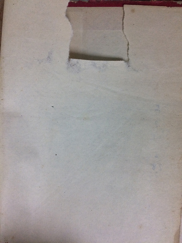 ไฟหนุ่มไฟสาว (เล่มเดียวจบ)