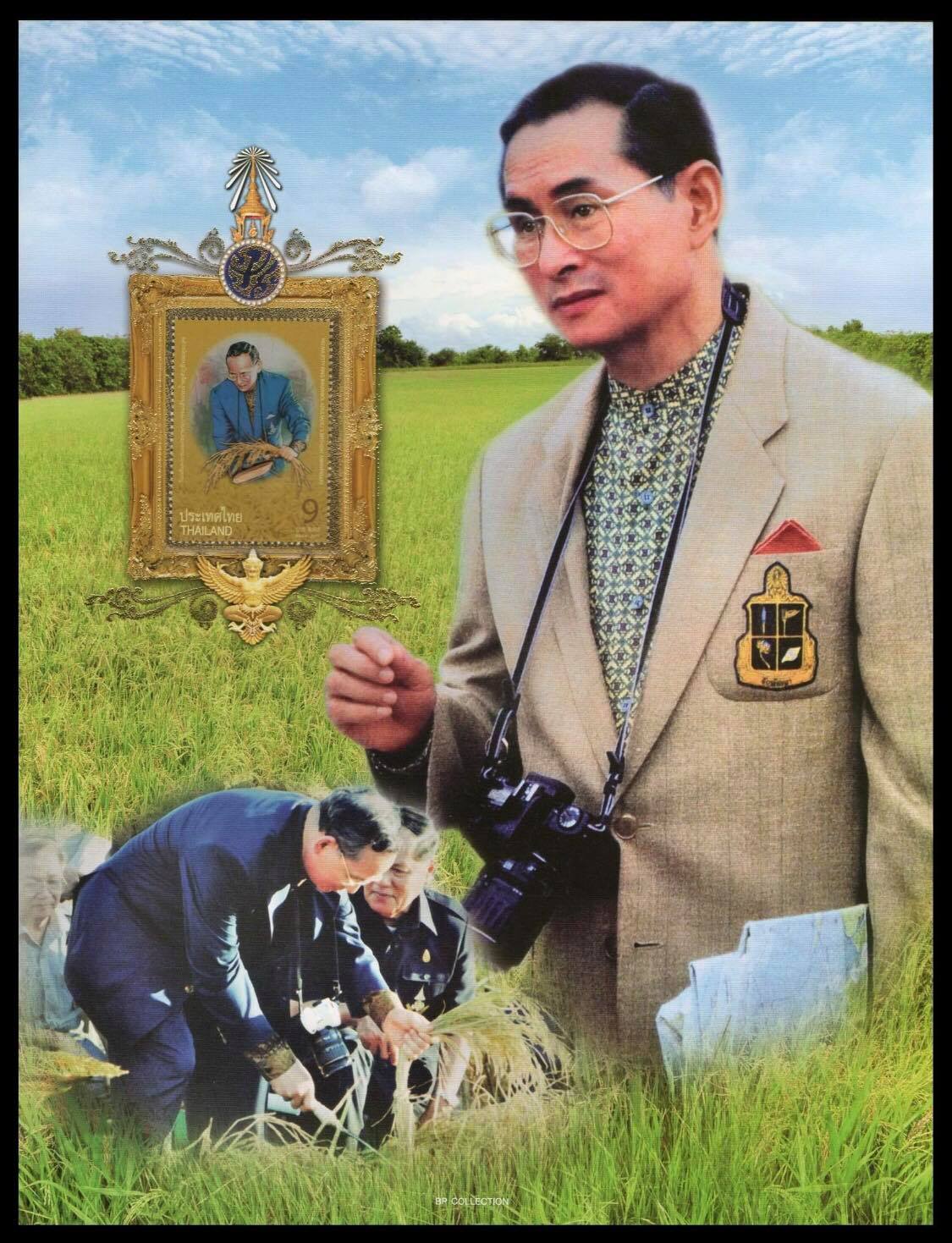 แผ่นที่ระลึกวันเฉลิมพระชนมพรรษา พระบาทสมเด็จพระเจ้าอยู่หัวภูมิพลอดุลยเดช 2554 (พร้อมแสตมป์)