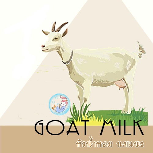Milk : Goat milk หัวน้ำหอม นมแพะ Sweet , Milky ให้ความ รู้สึกถึง ความรัก อบอุ่น นุ่มนวล มุ่งมั่น ละลายในแอกอฮอล์