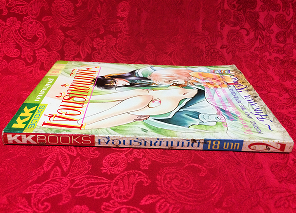 เงื่อนรักข้ามมิติ เล่ม 2