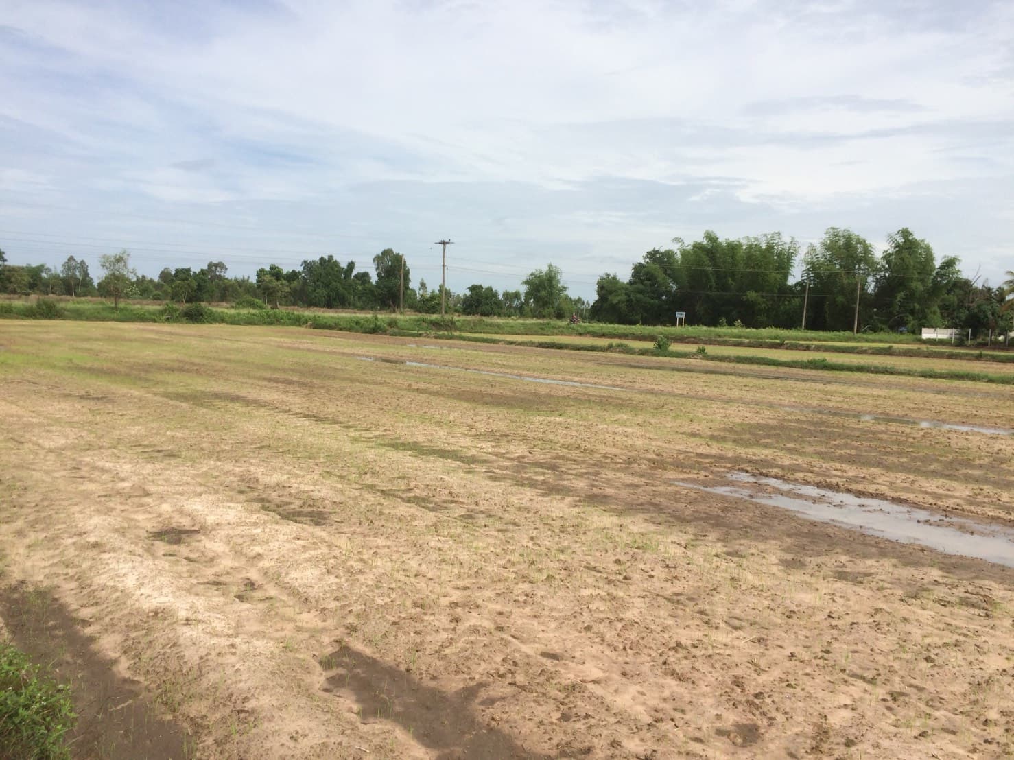 ขายที่ดินสวยราคาถูกที่สุด อ.หนองหาน จ.อุดรธานี ห่างจาก อบต.สร้อยพร้าว 2.4 กม.