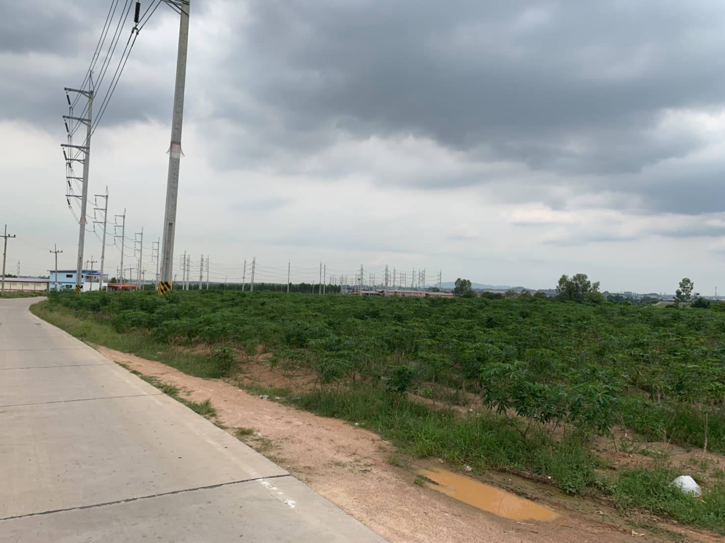 ขายที่ดินในเขตนิคมอุตสาหกรรมราคาถูกเหมาะทำธุรกิจพื้นที่กว้างเดินทางสะดวก6ไร่ติดถนนห้างแก้ว5อ.ปลวกแดงจ.ระยอง