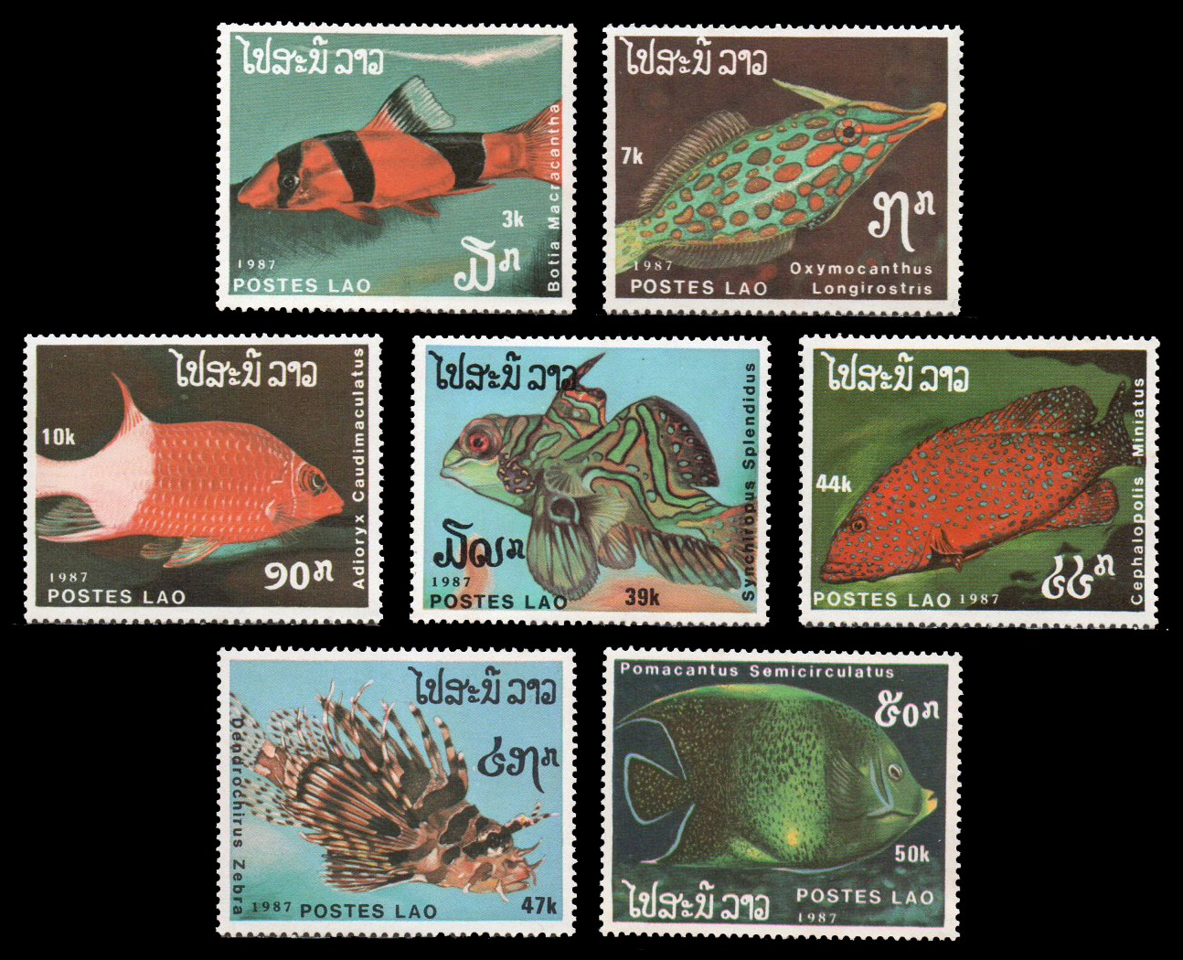 1987 Fish