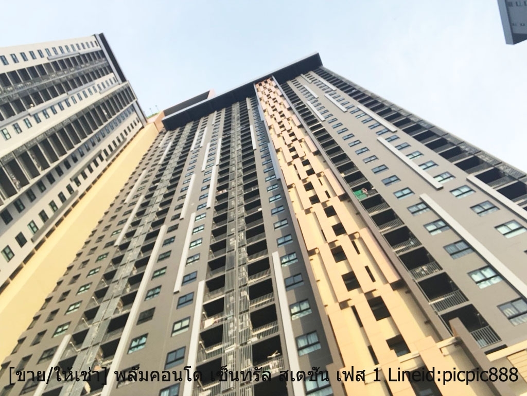 เปิดเช่า พลัมคอนโด เซ็นทรัล สเตชั่น เฟส 1 ติด Central Westgate ขนาด 24.14 ตร.ม จ.นนทบุรี