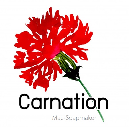 Carnation น้ำมันหอม ดอกคาร์เนชั่น ละลายในน้ำมัน