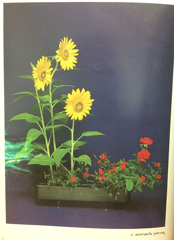 ดอกไม้แห่งแสงทิพย์ เล่ม 2