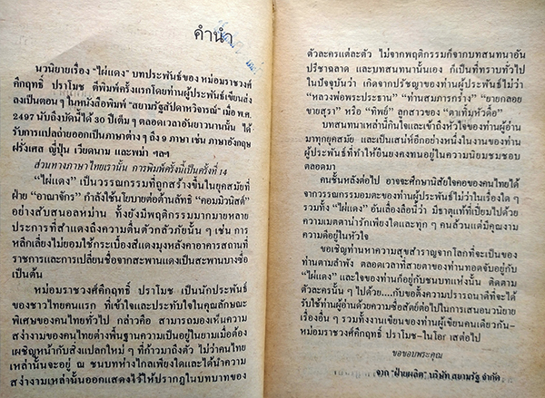 ไผ่แดง (ตำหนิ)