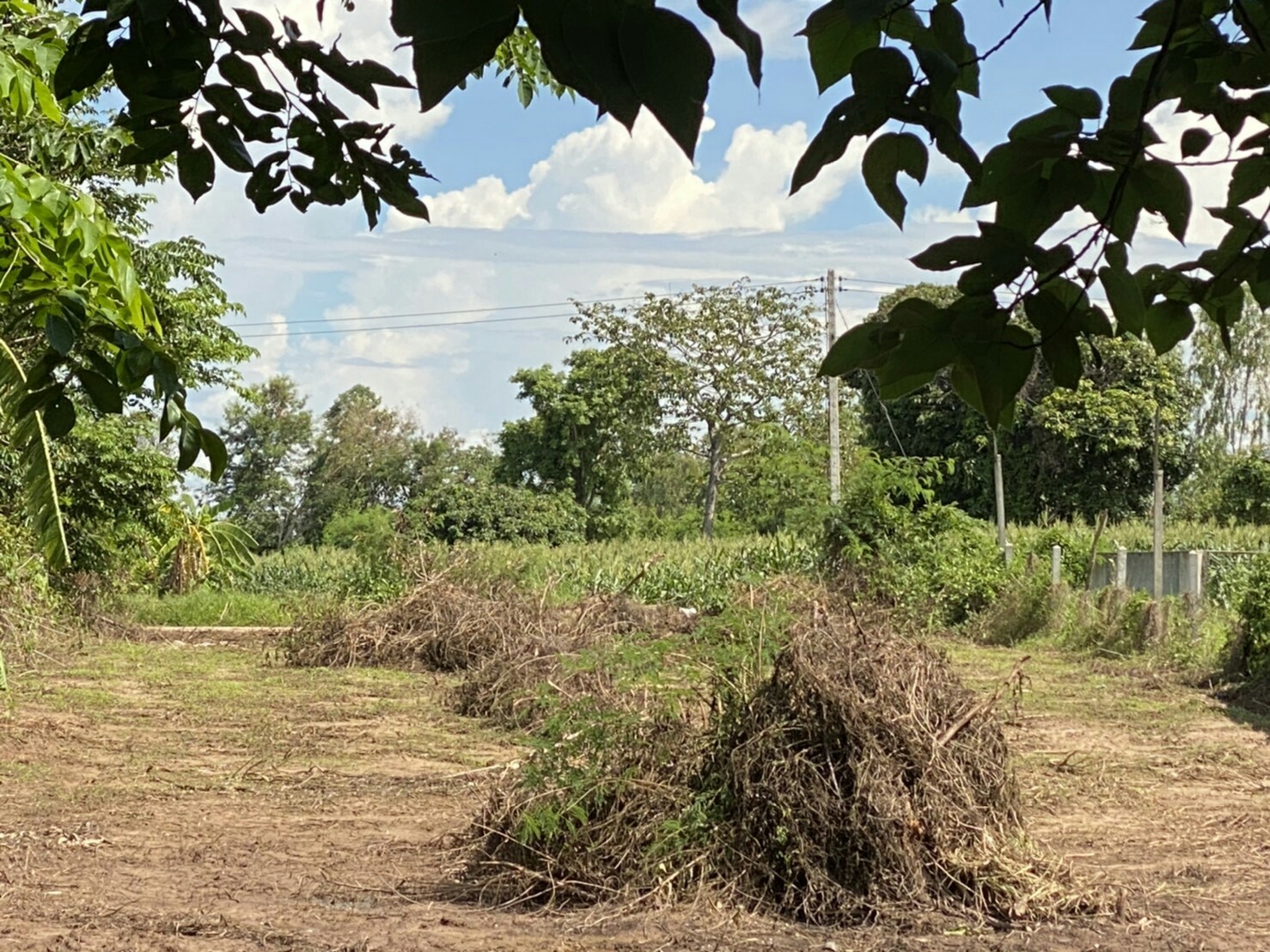 ขายที่ดินติดริมแม่นํ้าโขง อ.เมืองหนองคาย 300 ตรว. ด้านหน้าเป็นคอนกรีตบรรยากาศดีเหมาะแก่การสร้างบ้านอยู่อาศัยหรือทำธุรกิจพื้นที่กว้างพร้อมสำหรับทุกคนในครอบครัว