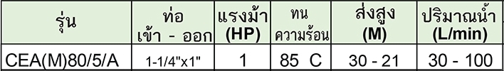 LOWARA ปั๊มน้ำแสตนเลส รุ่น CEA(M)80/5/A ไฟฟ้า220V