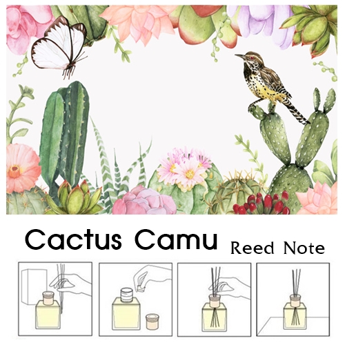 Reed Note : Cactus Camu น้ำมันหอมปรับอากาศ แคคตัส คามู : สดชื่นเบาสบายด้วยกลิ่นดอกไม้บานแห่งโอเอซิสเจือกลิ่นฉ่ำหวานของผลไม้ สังเคราะห์พิเศษ สำหรับใช้กับก้านไม้หวาย