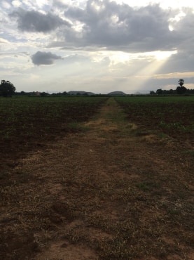 ขายที่ดินสวยราคาถูกที่สุด ห่างจากทุ่งดินดำรีสอร์ท 1.78กม.บรรยากาศดีทิวเขาสวยเหมาะทำการเกษตรอยู่อาศัยอ.อู่ทองจ.สุพรรณบุรี