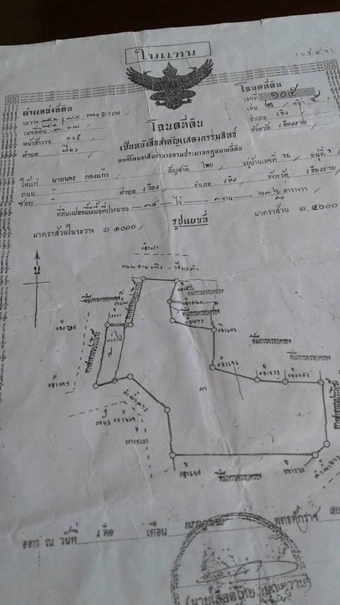 ขายที่ดินสวยราคาถูกที่สุดในเขตเทศบาล อ.เทิง จ.เชียงรายติดถนนใหญ่