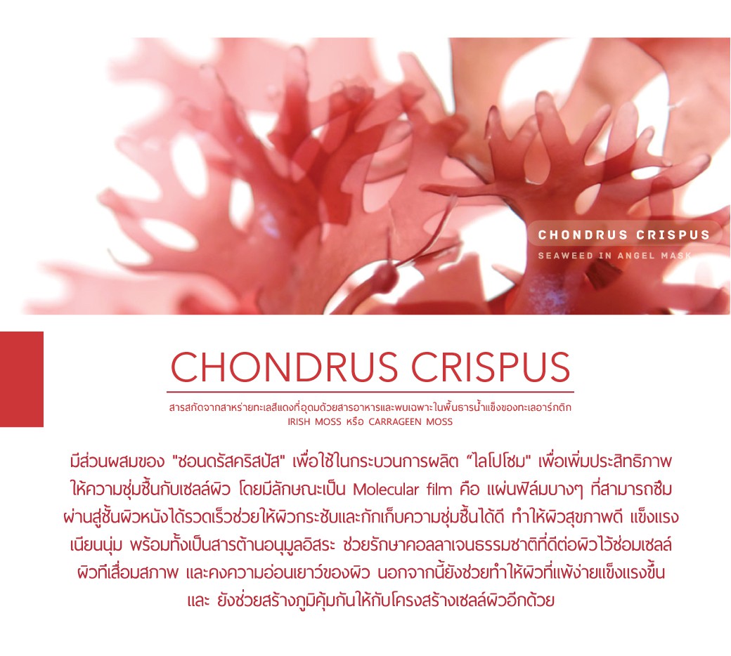 Annabella Haematococcus Pluvialis Facial Mask 30ml x 10 ชิ้น มาส์กหน้าอันนาเบล