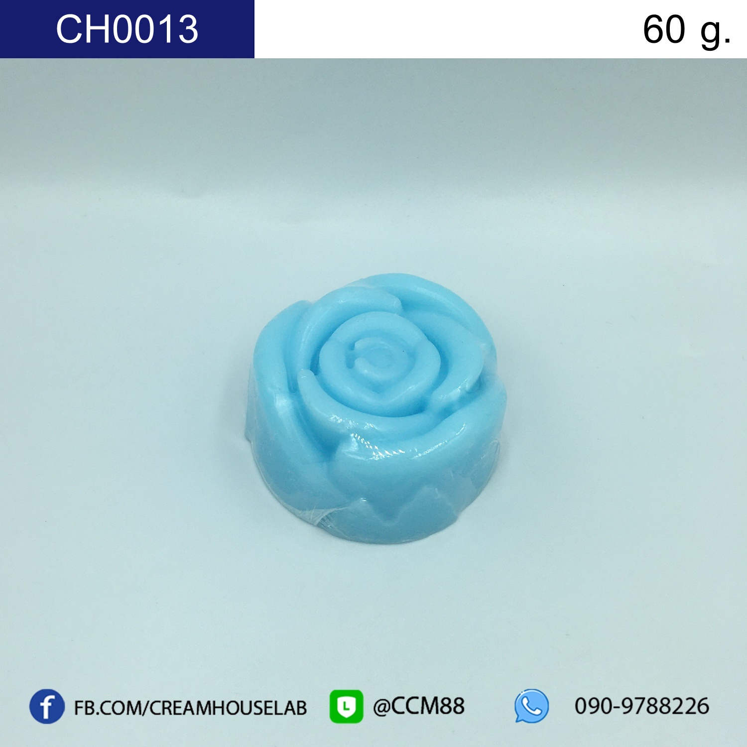 รหัส CH0013
