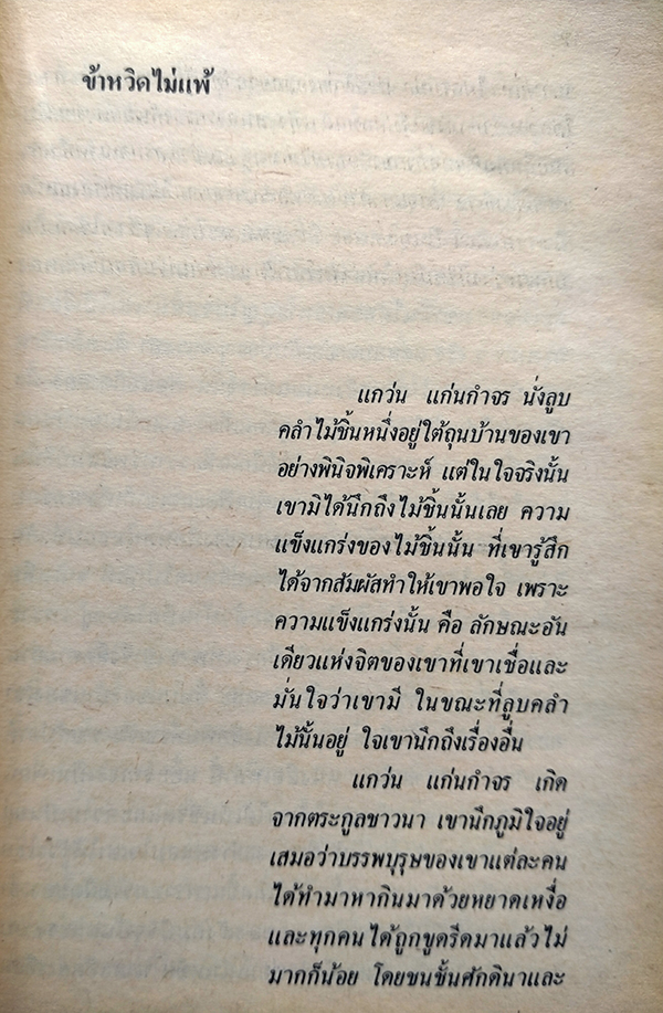 ไผ่แดง (ตำหนิ)