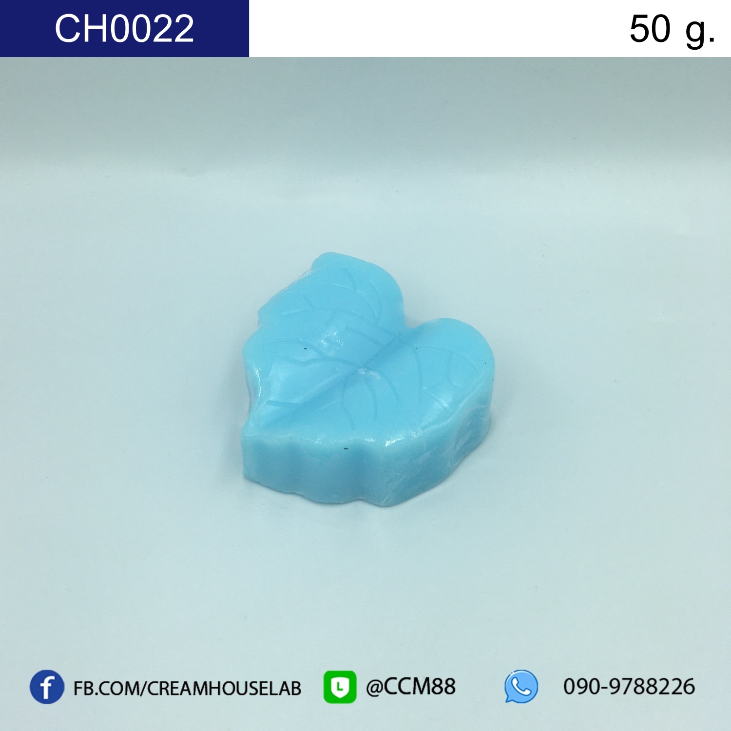 รหัส CH0022