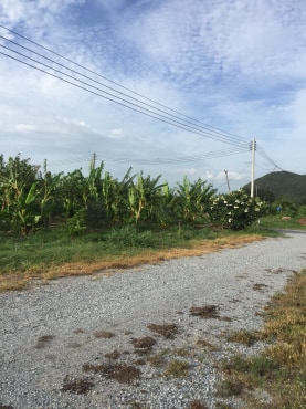 ขายที่ดินจัดสรรค์สวยราคาถูกติดถนน 3 ด้านห่างทุ่งดินดำรีสอร์ท 548 เมตร ใกล้อบต. เลาขวัญ 2.8 กม. รพ.เลาขวัญ4.8กม.อ.อู่ทอง จ.สุพรรณบุรี