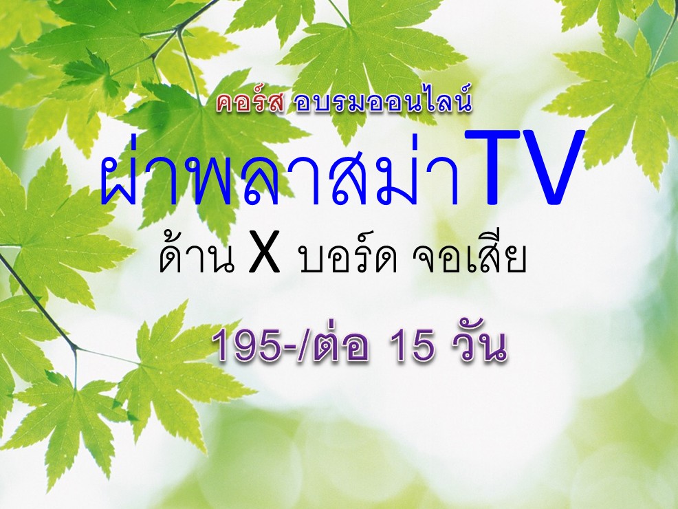 คอร์สสอนผ่าจอพลาสม่าออนไลน์ (15วัน)