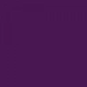 Color Purple : PURPLE OIL COLOR สีม่วงน้ำมัน