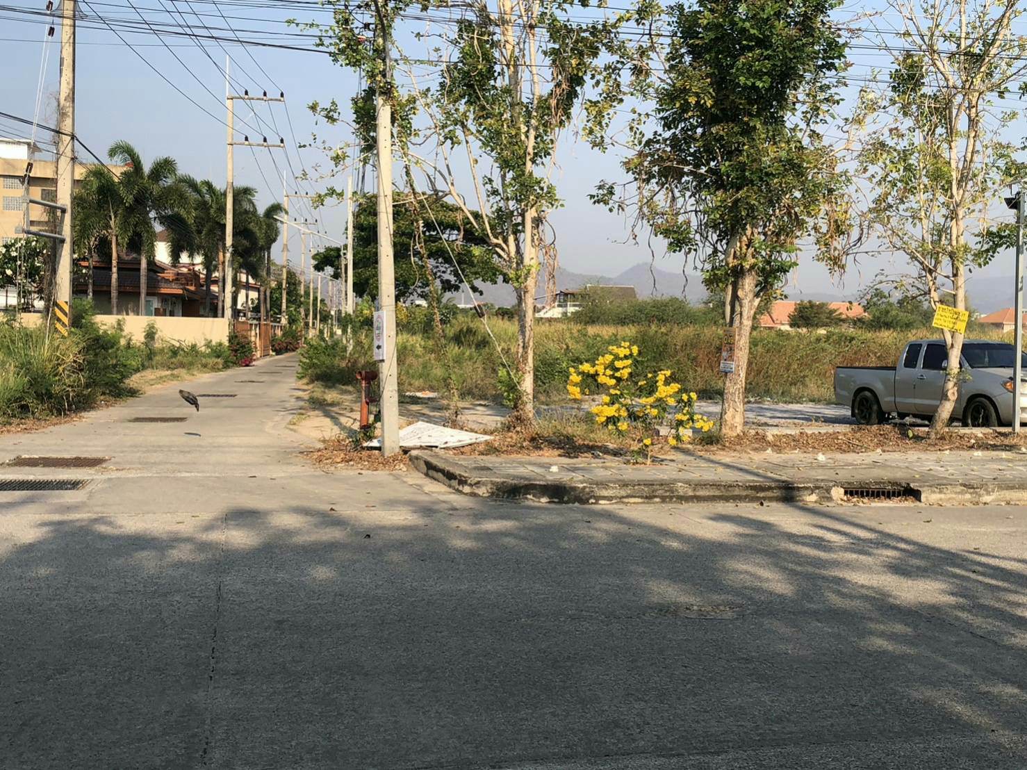 ให้เช่าที่ดินใกล้ชายฝั่งทะเลเนื้อที่ 4 ไร่ 1 งาน 70.2 ตรว. อำเภอหัวหิน จังหวัดประจวบคีรีขันธ์บรรยากาศดีทำเลหมาะแก่การทำธุรกิจ