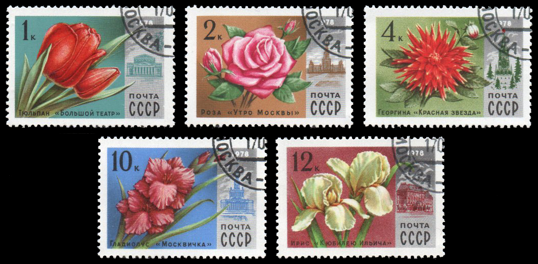 Flowers 1978