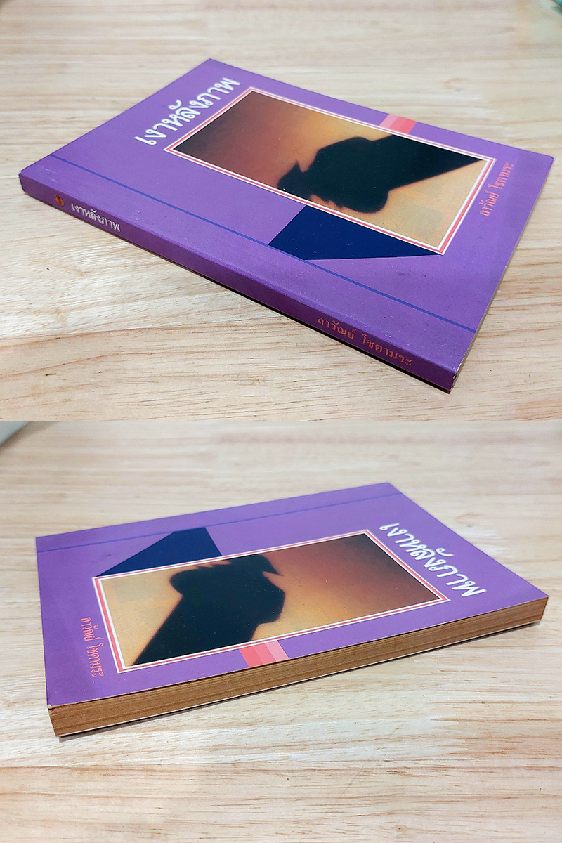 เงาหลังภาพ