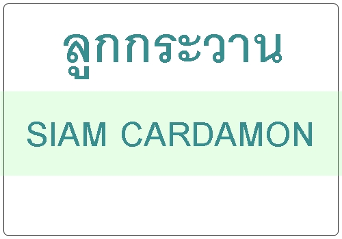 SIAM CARDAMON ลูกกระวาน