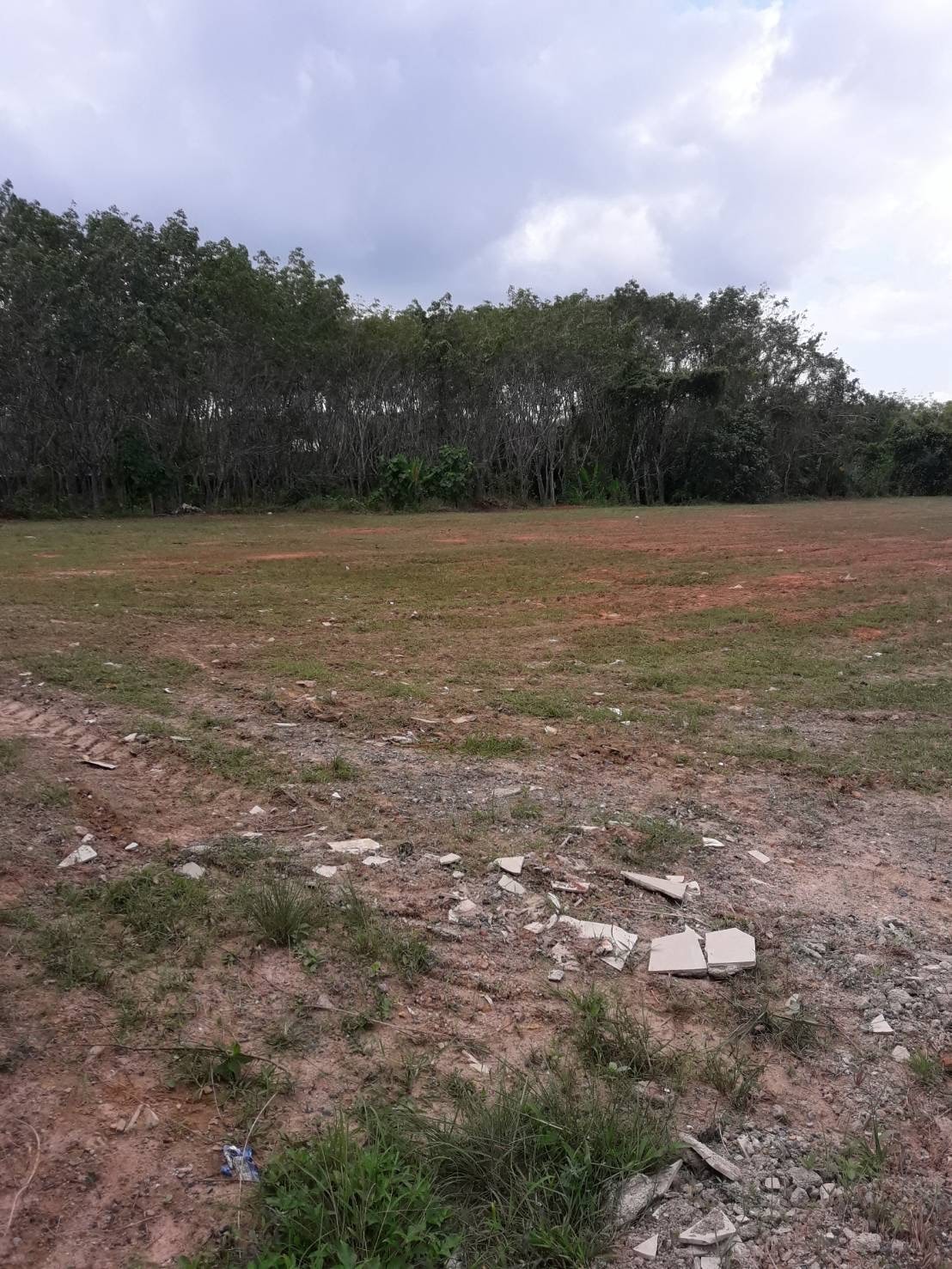 ขายที่ดินถมแล้วติดถนนใหญ่ 4 เลน มีระบบน้ำประปา หม้อแปลงไฟฟ้าแรงสูงพร้อม สามารถดำเนินการทำโครงการบ้านเดี่ยวขนาด 60ถึง70 ตารางวาได้ประมาณ35หลัง ขนาด7.5ไร่ ตำบลที่วัง อำเภอทุ่งสงจังหวัดนครศรีธรรมราช