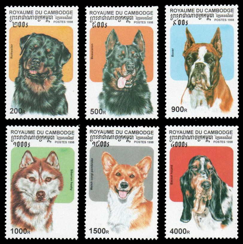 1998 Dogs