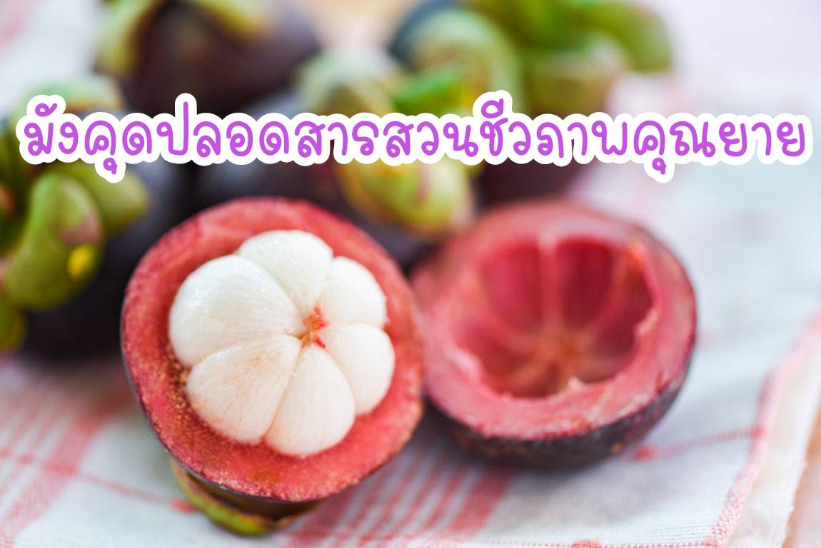 มังคุดออร์แกนิคของดีเมืองนครโปรพิเศษ 5 กก. แถมส่งฟรี #ปลอดสาร #ไม่มีสารเคมี สดจากสวนทุกลูก อร่อยทุกลูก