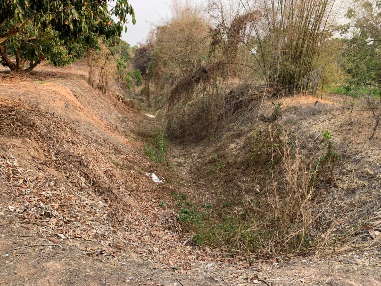 ขายที่ดินสวนราคาถูกเหมาะทำการเกษตรสร้างบ้านสวนพื้นที่กว้างพร้อมสำหรับทุกคนในครอบครัวใกล้วิทยาลัยการอาชีพป่าซาง 1.37 กม. จ.ลำพูน