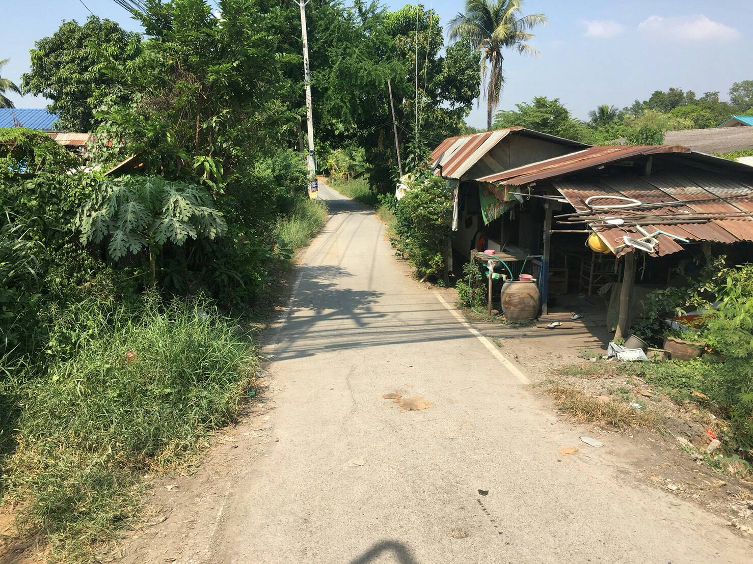 ขายที่ดินสวยภาชี ราคาถูกใกล้สถานีตำรวจภูธรภาชี 1.58 กม. จ.พระนครศรีอยุธยาการเดินทางสะดวกสบายเหมาะแก่การพักอาศัยหรือทำธุรกิจ