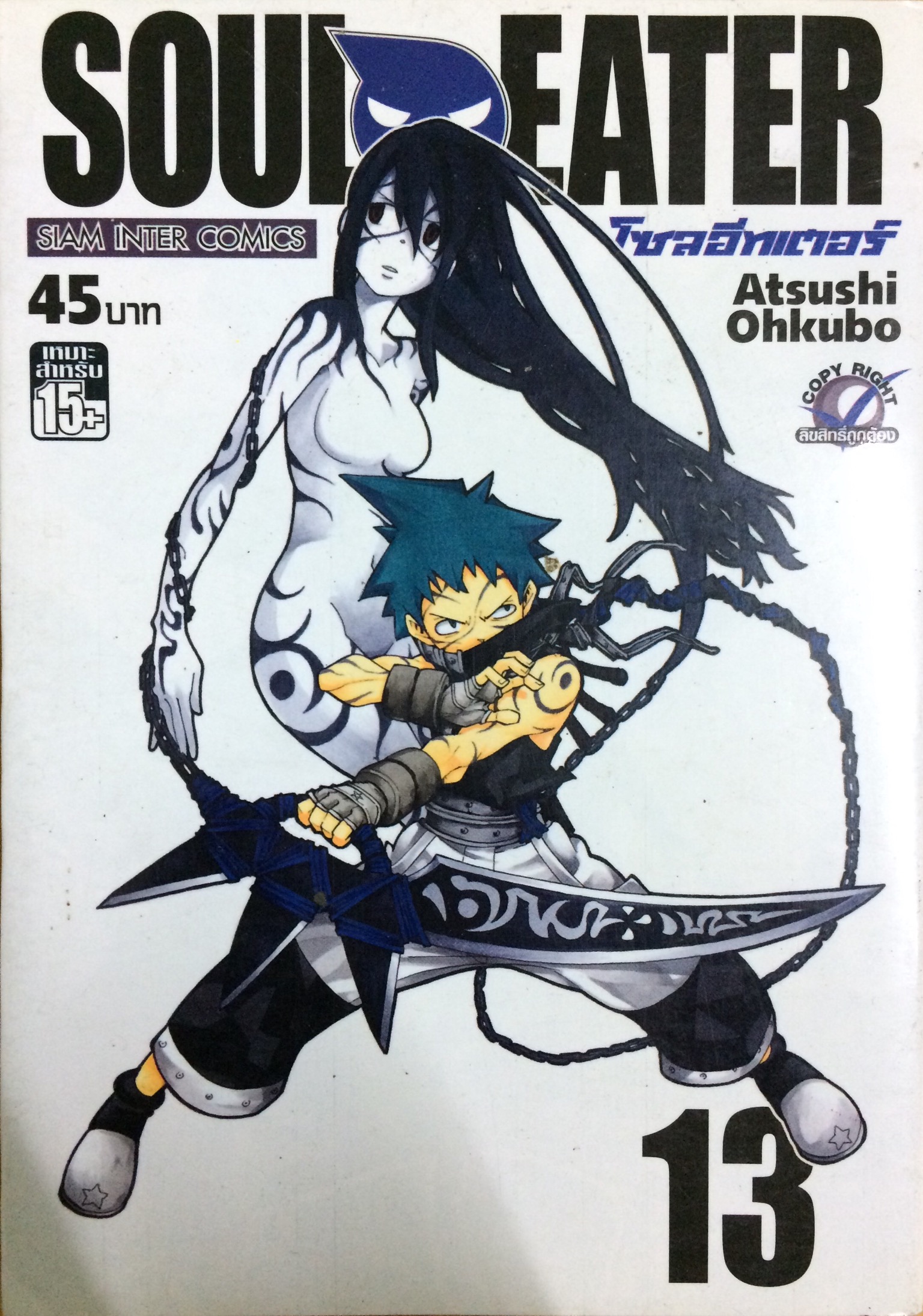 Soul Eater Vol.13