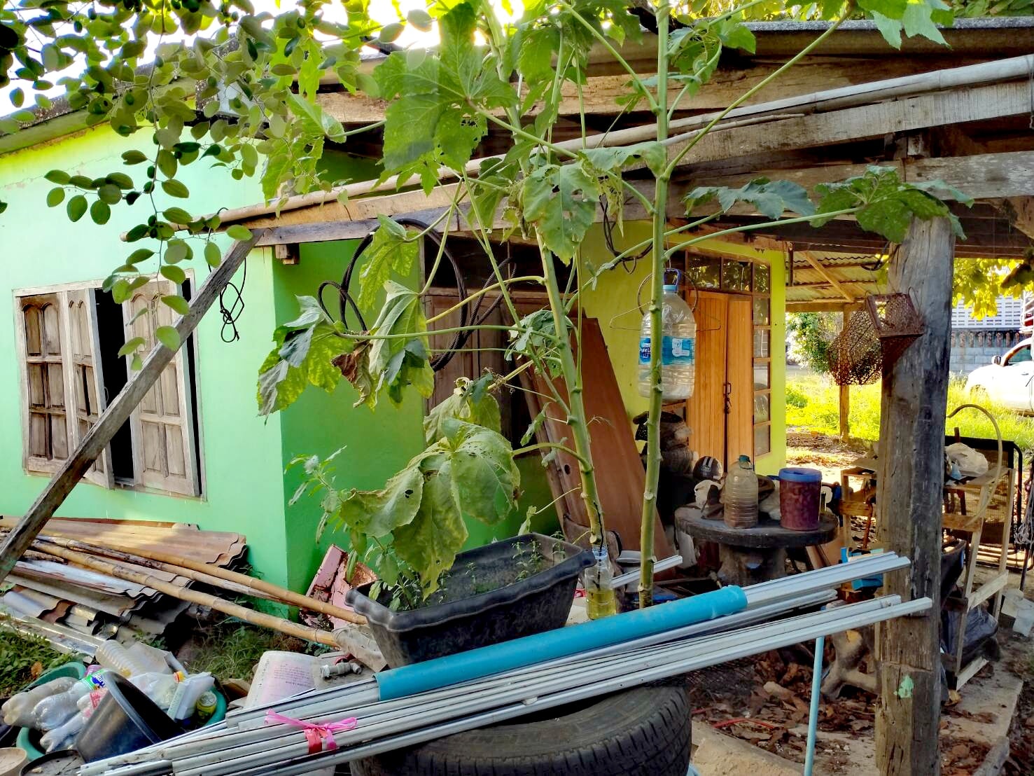 ขายบ้าน 166.3 ตารางวาบรรยากาศดีใกล้ริมฝั่งแม่นํ้าโขงหลังตลาดสดวัดบ้านธาตุ อำเภอเมืองหนองคายพื้นที่กว้างขวางพร้อมสำหรับทุกคนในครอบครัวเหมาะแก่การพักอาศัยการเดินทางสะดวกสบาย