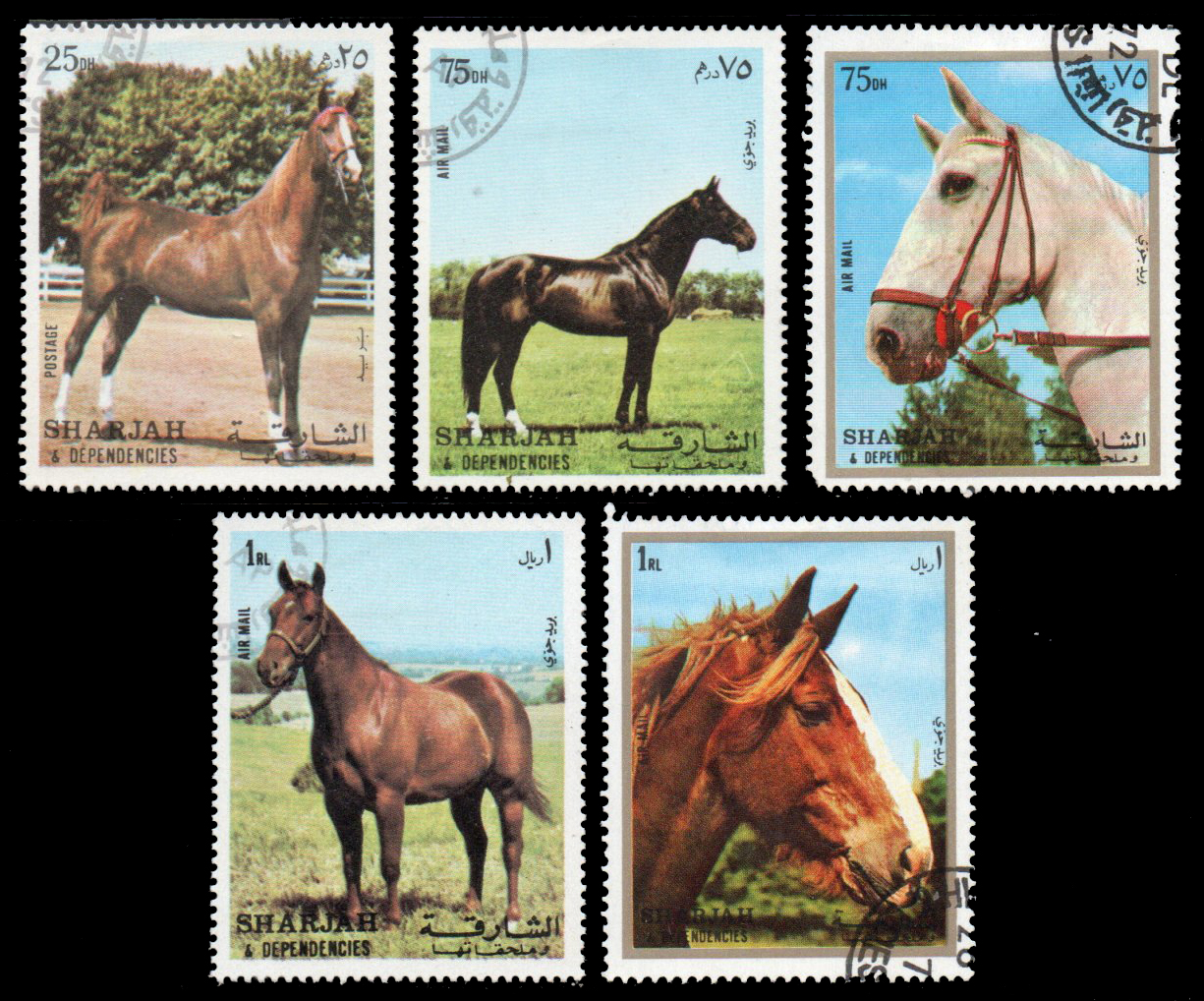 Horse