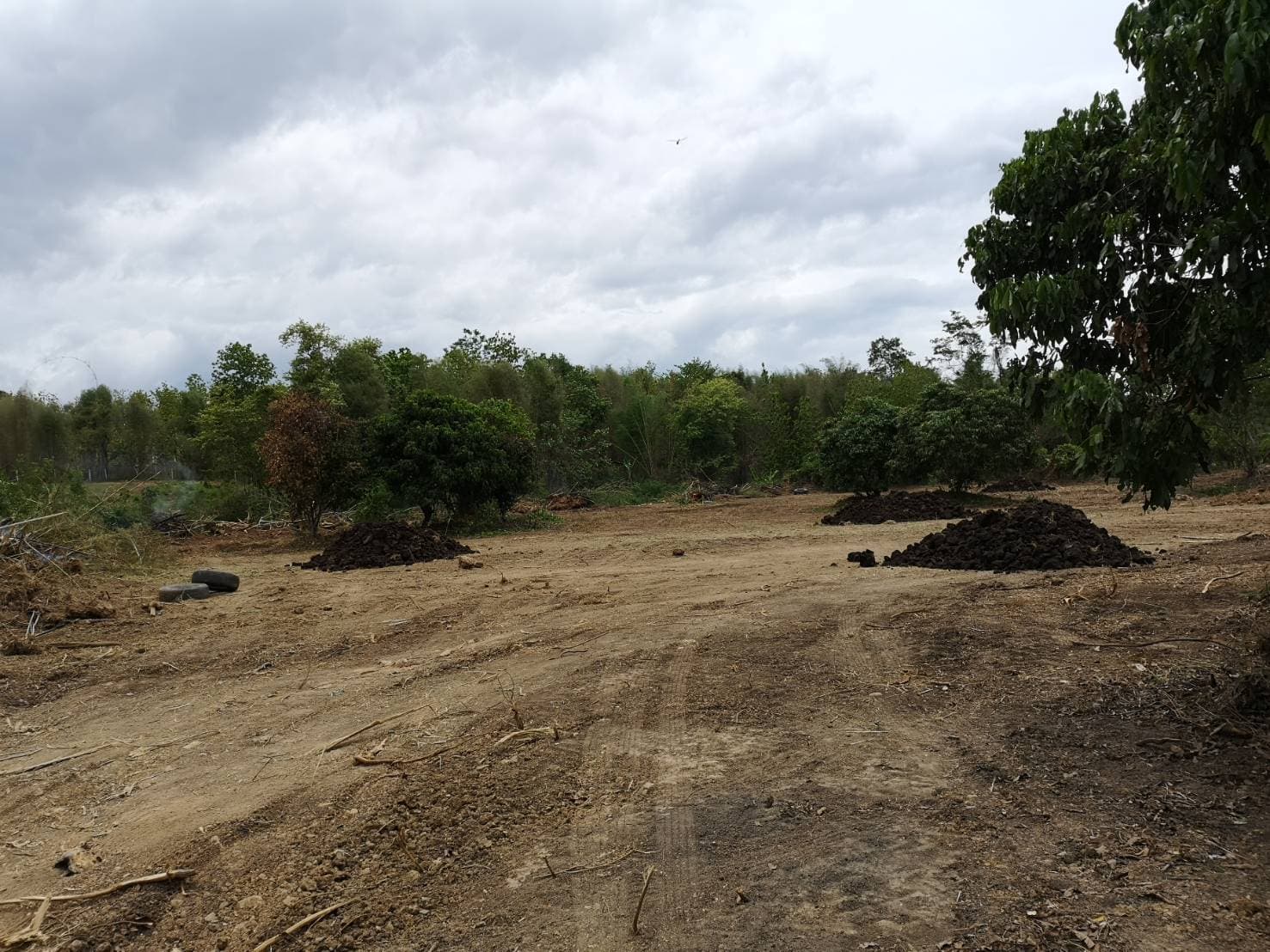 ด่วนขายที่ดินพร้อมบ้านสวนราคาถูกที่สุดมีประปาพร้อมใช้งานเนื้อที่ิ 5 ไร่ 2 งาน 69 ตรว. บ้านนาฟาน ต.ดอนไฟ อ.แม่ทะ จ.ลำปาง