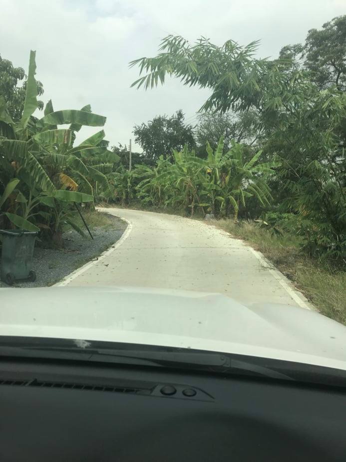 ขายที่ดินราคาถูก อ.ไทรน้อย จ.นนทบุรีติดถนนเลียบคลองกำนันชื้นห่างจากโรงงาน SQP ไทรน้อย 200 เมตร