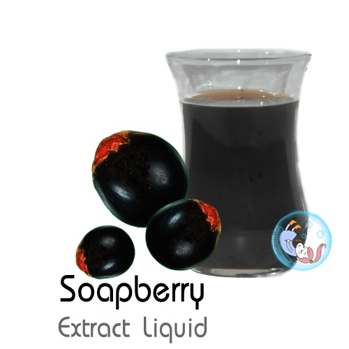 Soapberry Extract Liquid / สารสกัด มะคําดีควาย ชนิดน้ำ สารต้านจุลินทรีย์ ต้านอนุมูลอิสระ ช่วยดูแลหนังศรีษะและเส้นผม