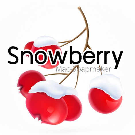 Snowberry / น้ำมันหอม สโนว์เบอรี่ สดชื่น สบาย ผ่อนคลาย ละลายได้ในน้ำมัน - ไม่เร่งเทรซ
